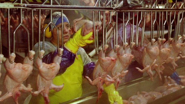 Reeling from coronavirus, Asia’s poultry farmers battle bird flu outbreak