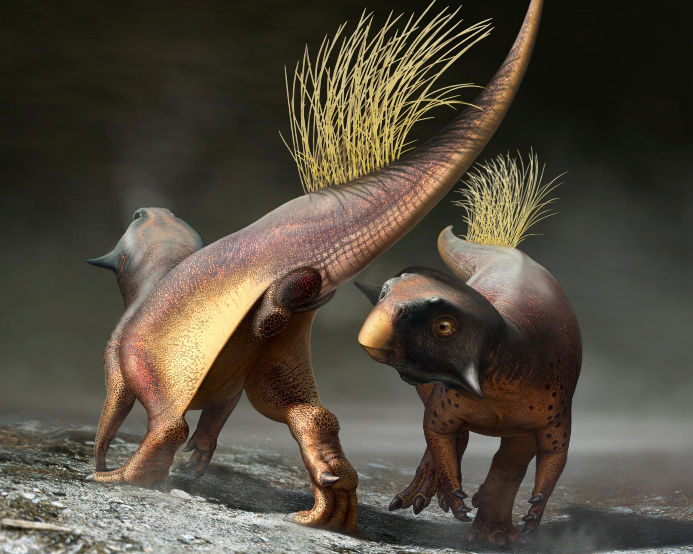 Scientists-finally-know-how-dinosaurs-had-sex-rapid-news-rapidnews