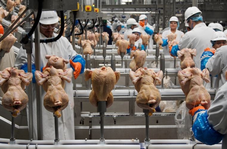Liquid nitrogen leak at US Georgia poultry plant kills 6