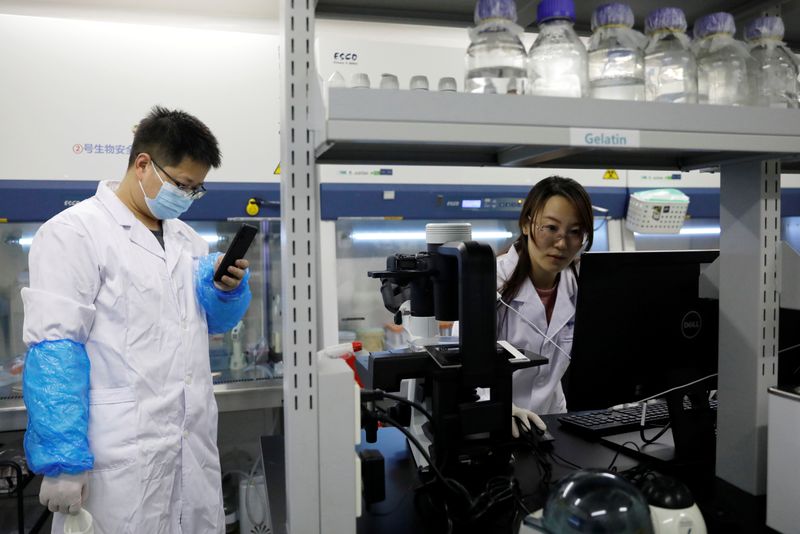 rapid-news-rapidnews-Chinese-scientists-develop-gene-therapy-which-could-delay-ageing-dailyrapidnews