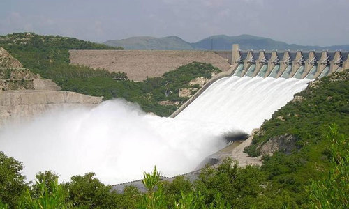 Nine petitions filed against Dadhocha dam construction