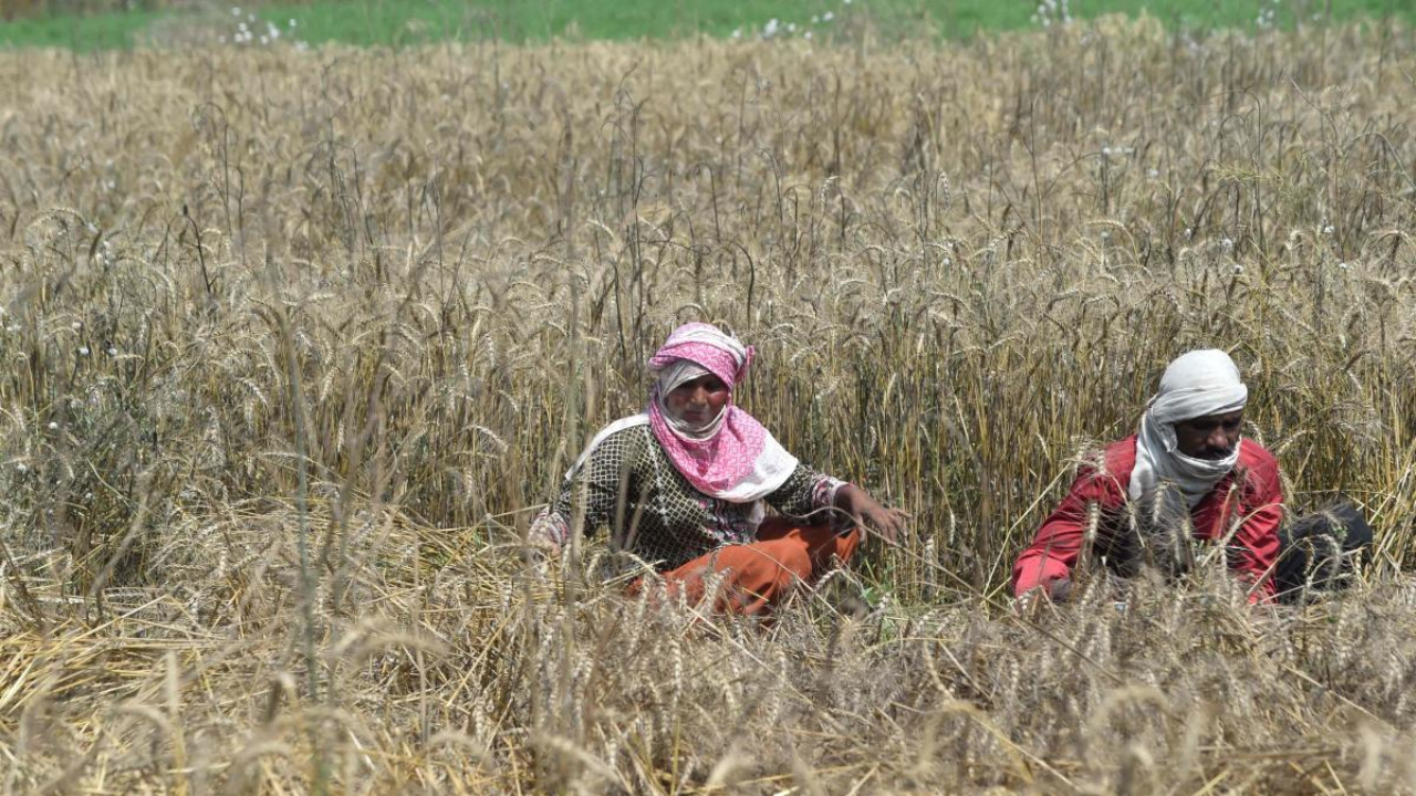 Pakistan pins big hopes on small dams to help farmers beat drought