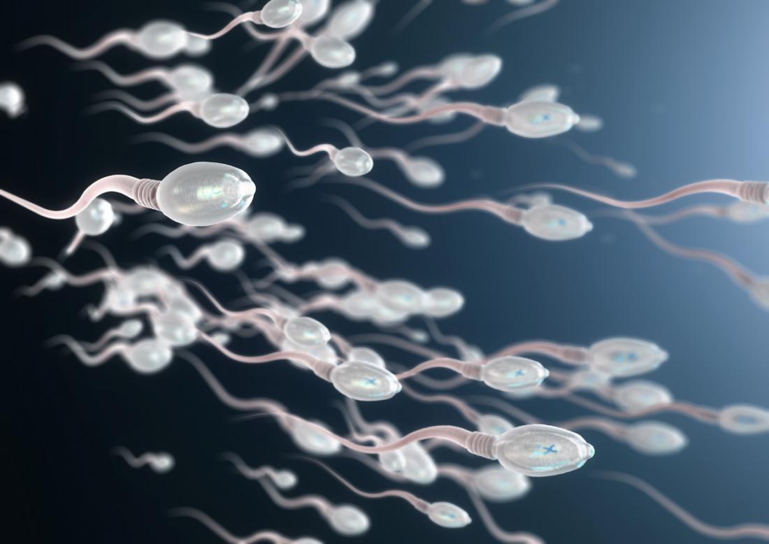 COVID-19 infection may reduce sperm quality and development in men: study