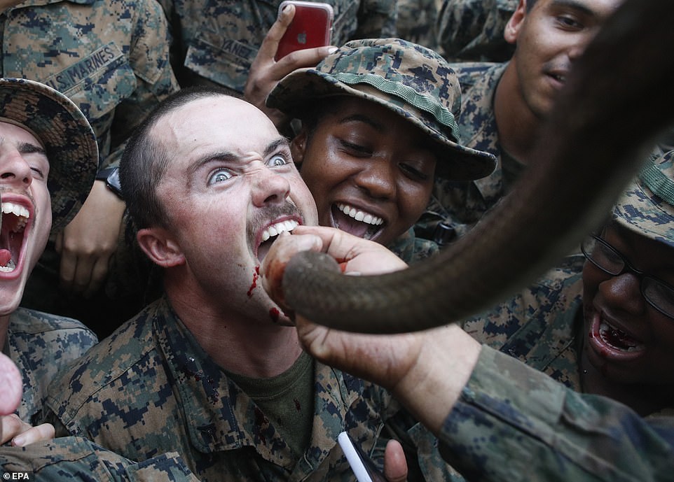 Gruesome-military-exercises-where-soldiers-are-made-to-eat-live-geckos-and-drink-snake-blood-could-lead-to-another-pandemic-animal-rights-rapidnews-dailyrapid-dailyrapidnews-army