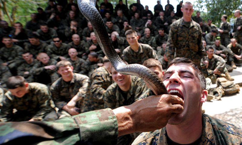 Calls to end gruesome military drills where marines eat lizards and drink cobra blood