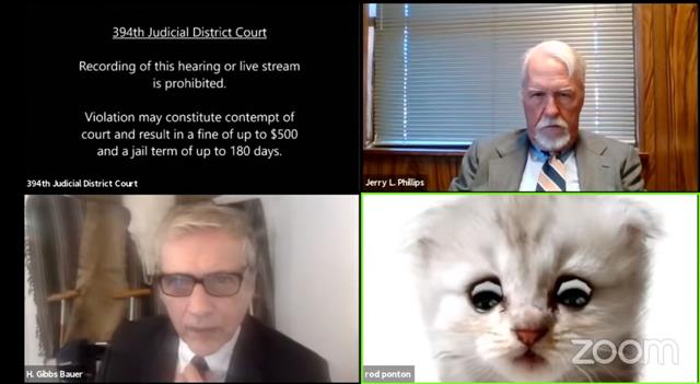 Texas lawyer, trapped by cat filter on Zoom call, informs judge he is not a cat