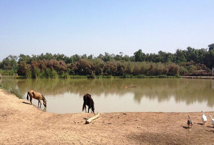 ghotki-sufi-anwer-shah-safari-park-rapid-news-dailyrapid-rapidnews