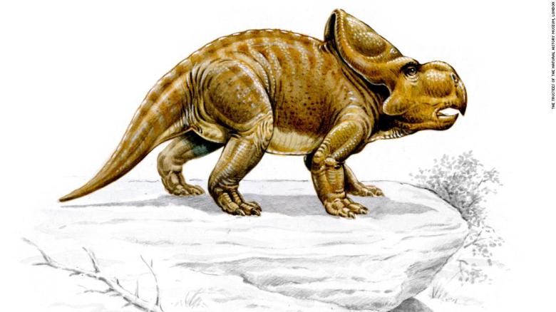 protoceratops-dinosaurs-super-tease-rapidnews-rapid-news