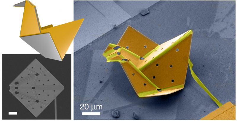 Cornell creates the world’s tiniest self-folding origami bird