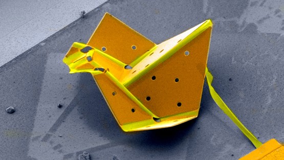 Cornell-creates-the-world-tiniest-self-folding-origami-bird-rapidnews-dailyrapid