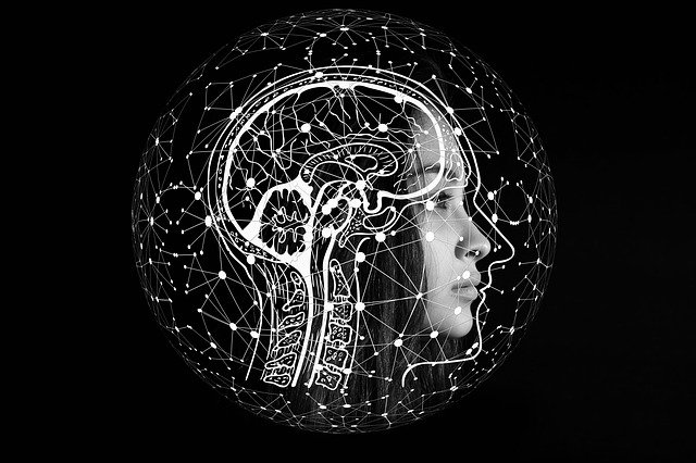 Measurable changes in brain activity during first few months of studying a new language