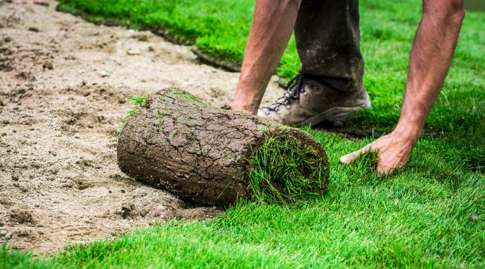 Mum left in stitches at husband’s blunder after laying ‘artificial grass’ in garden