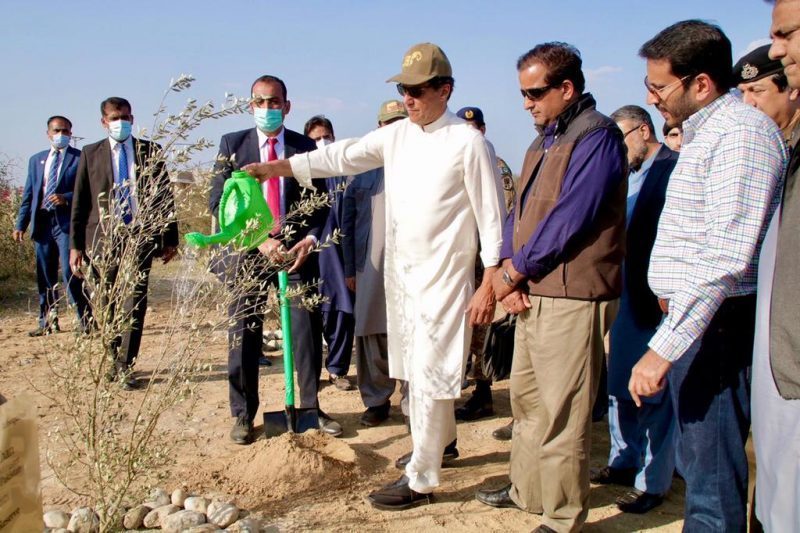 Planting olives can help bring foreign exchange into Pakistan: Prime Minister Imran Khan