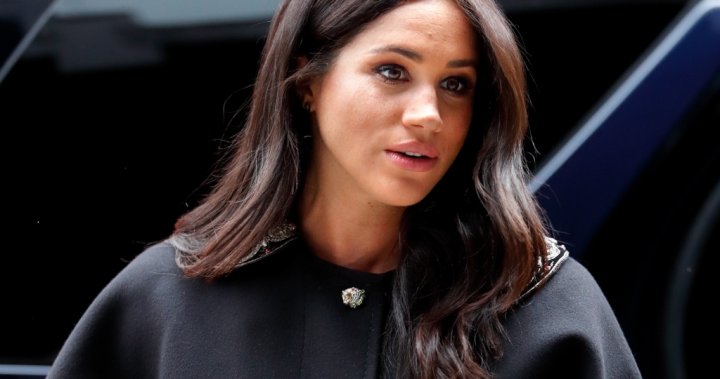 meghan-markle-baby-mixed-race-Palace-to-investigate-after-Meghan-Markle-accused-of-bullying-staff-rapidnews-rapid-news