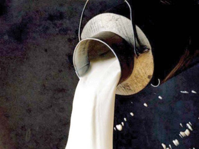 Buffalo milk export to boost Pakistan’s forex reserves