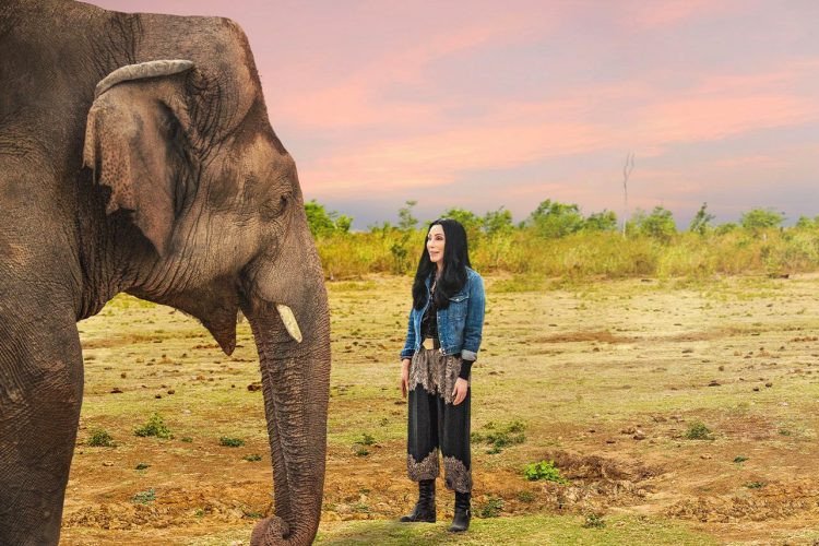 Kaavan makes his movie debut with Cher and the Loneliest Elephant on April 22