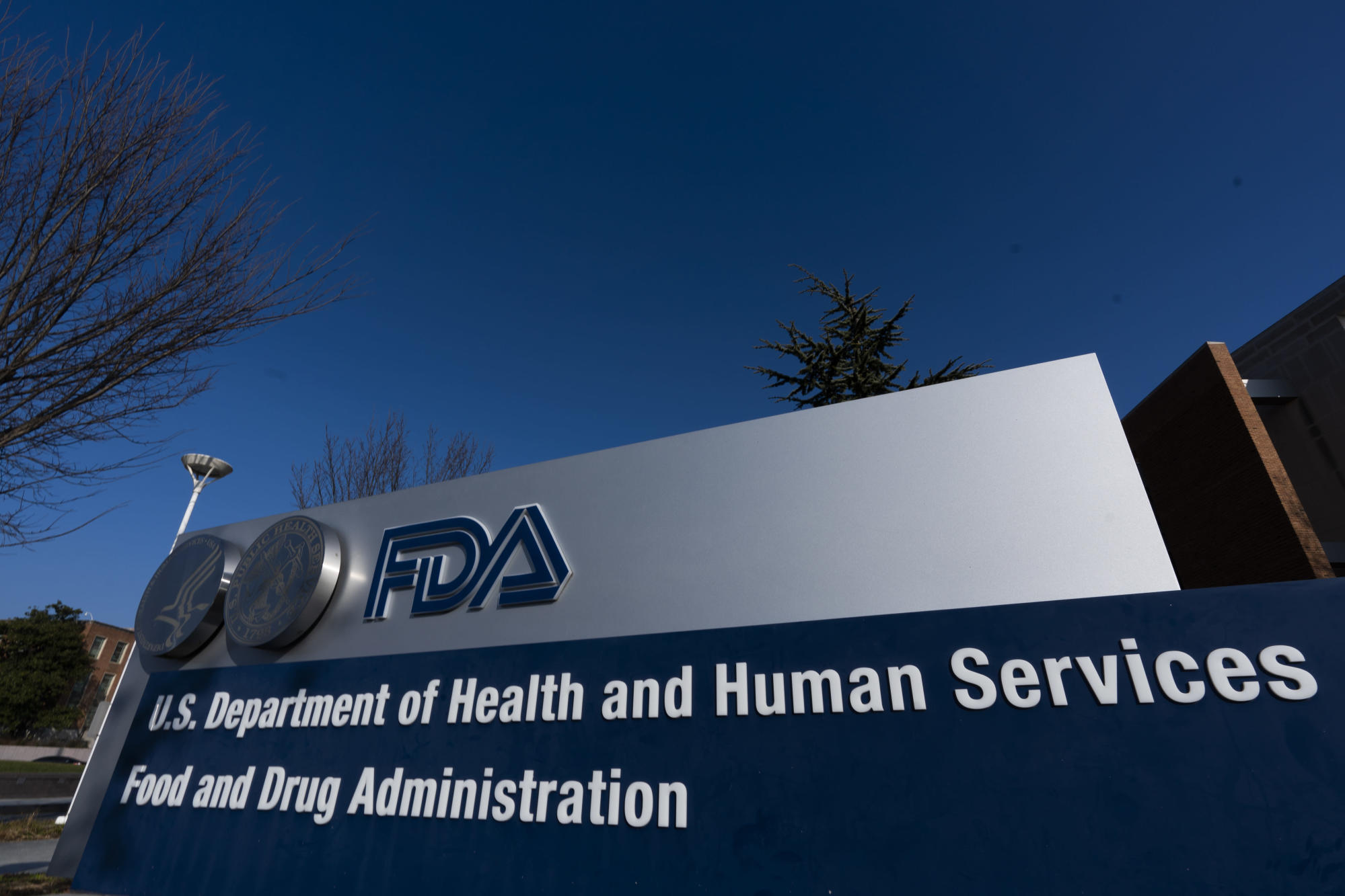 FDA-to-scrutinize-unproven-cancer-drugs-after-10-year-gap-rapidnews