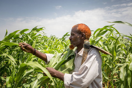 World-food-prices-continue-to-soar-hitting-nearly-7-year-high-rapidnews-dailyrapid