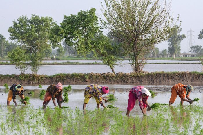 Panellists on IWMI dialogue discuss how Pakistan can achieve food, water and food security