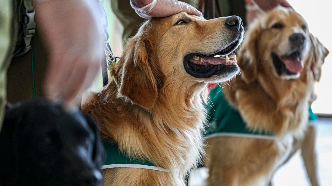 Canine-coronavirus-detected-in-Malaysian-patients-study-rapidnews