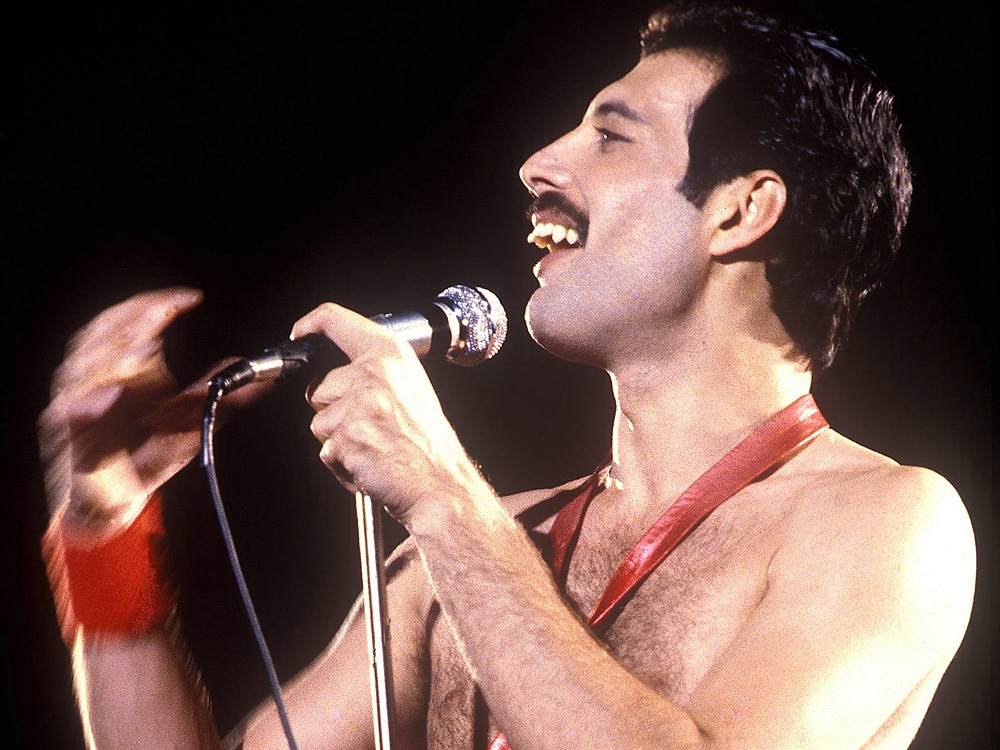 Graphic-novel-to-tell-Freddie-Mercury-life-story-rapidnews