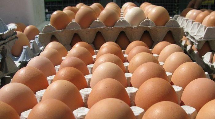 Here-why-chicken-egg-prices-have-gone-up-in-Pakistan-rapidnews