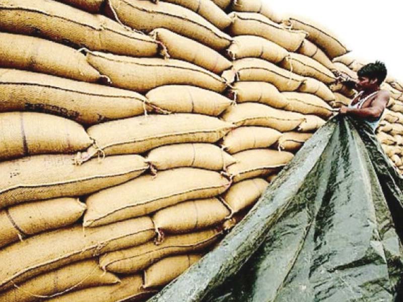 Illegally-stored-wheat-bags-worth-Rs400m-seized-in-Pindi-Bhattian-rapidnews