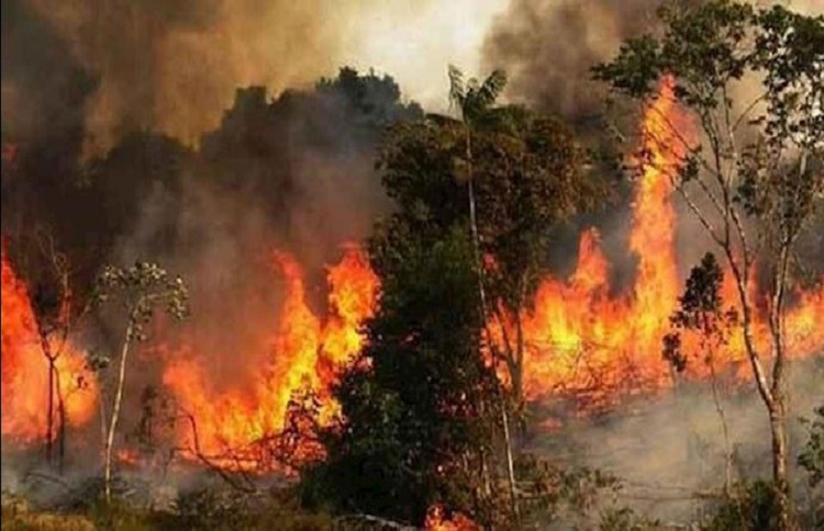 Massive fire erupts in southwestern Iran, cause unknown: Reports