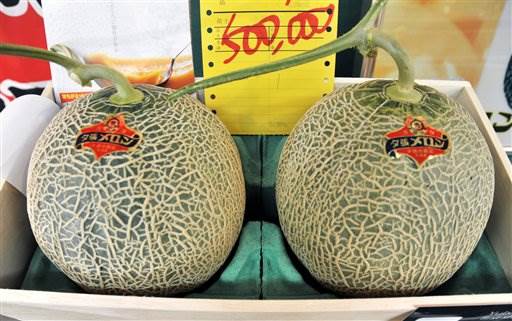 Japan premium melons sell for $24,800 after coronavirus slump