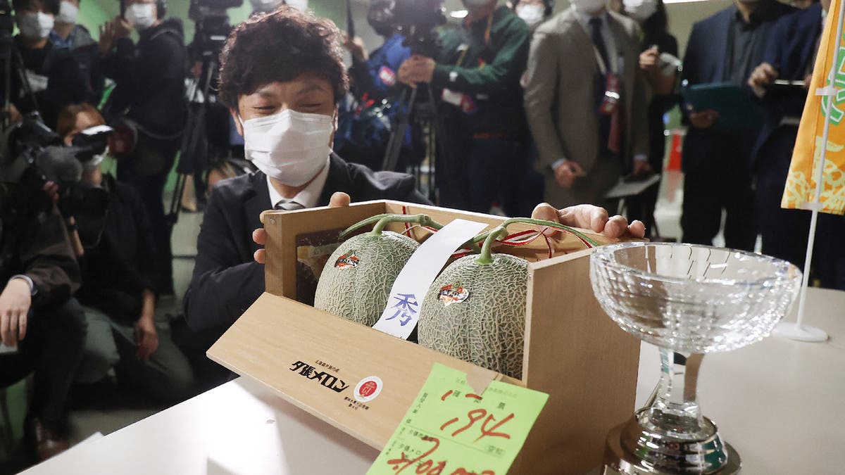 Japan-premium-melons-sell-for-$24800-after-coronavirus-slump-rapidnews