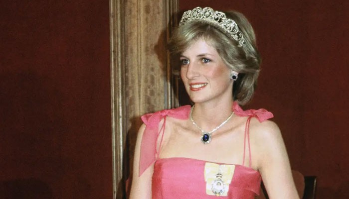 Princess Diana manipulated the media: Commentators hit out over Martin Bashir interview