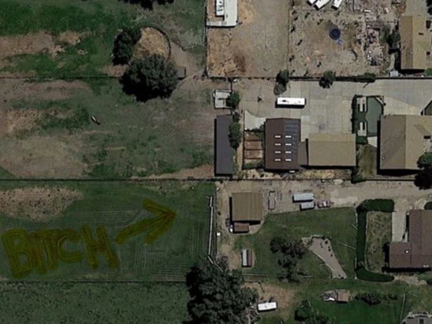 Rude-message-mowed-into-lawn-by-neighbour-spotted-on-Google-Maps-rapidnews