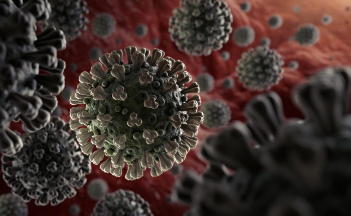 COVID-19 infection gives immunity for at least eight months: Danish study