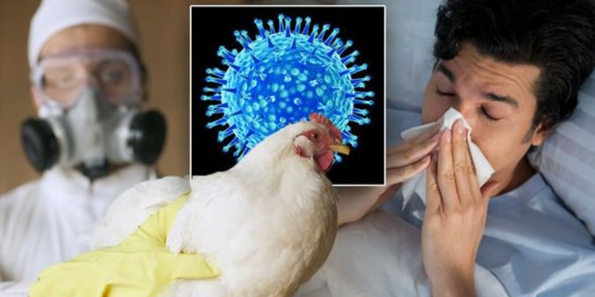 Human avian flu diagnosed in a Colorado prison.