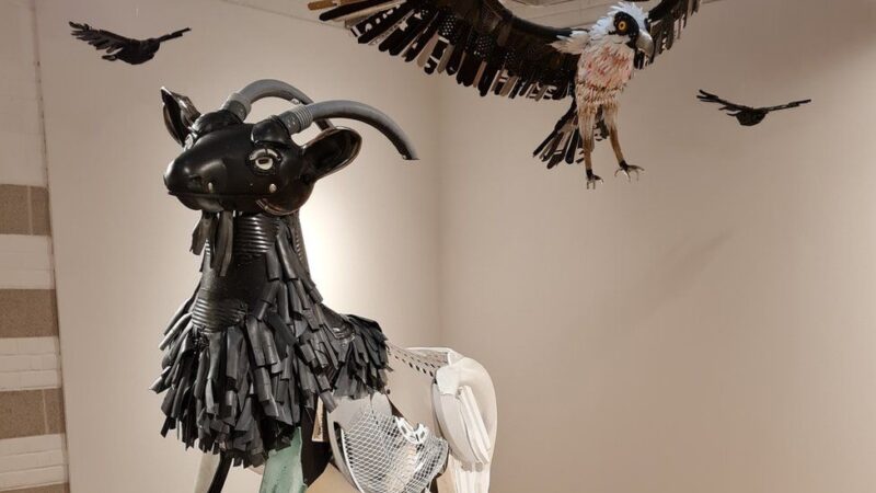 Wildlife sculptures manufactured from fly-tipping debris.