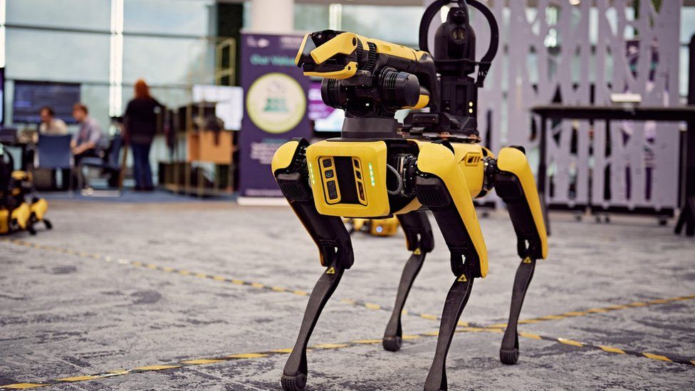 The Robot Dog Olympics apprehended at the Ministry of Defence in Bristol.