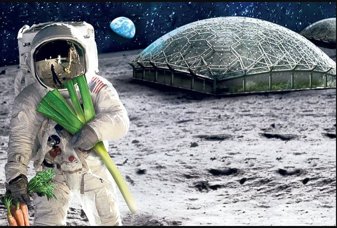 FOOD can be grown on the moon.