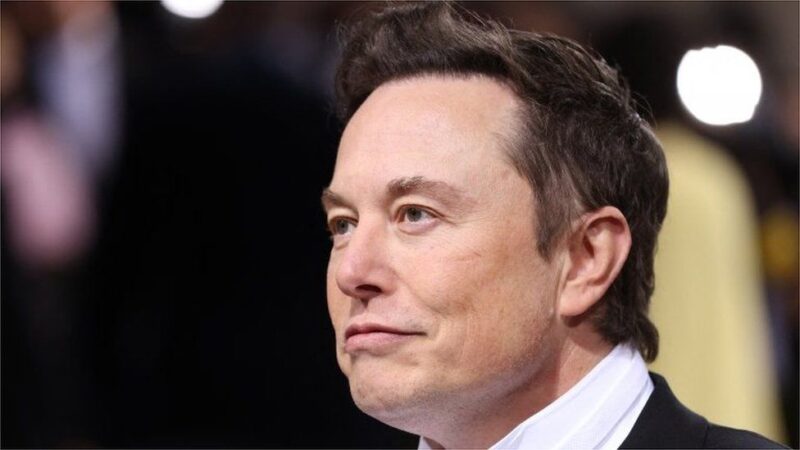 Elon Musk placed the Twitter acquisition on hold.