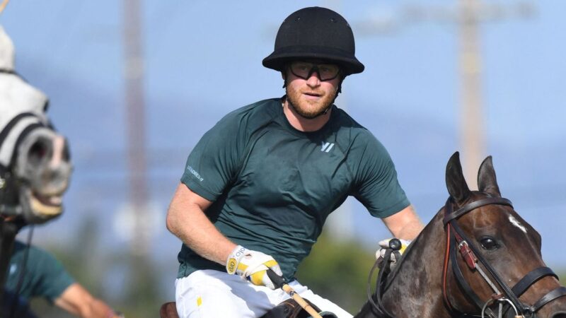 Prince Harry is thrown to the ground after dropping off his horse.