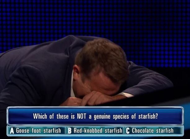 THE After reading an extremely harsh response, Chase presenter Bradley Walsh lost it and could hardly continue the show