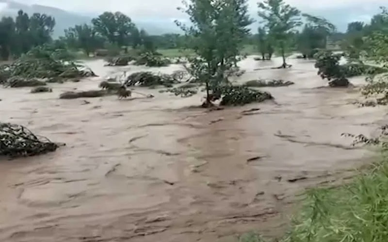 Rain, floods kill 323 in KP as more severe weather forecast