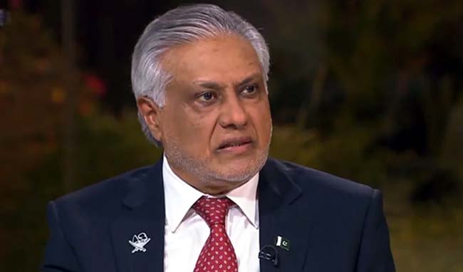 Pakistan stands with Muslim world as nuclear power: Deputy PM Dar