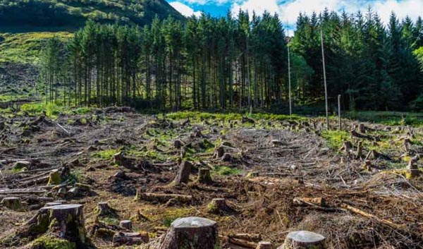 Rs2.78bn allocated to Climate Change Division in new development budget