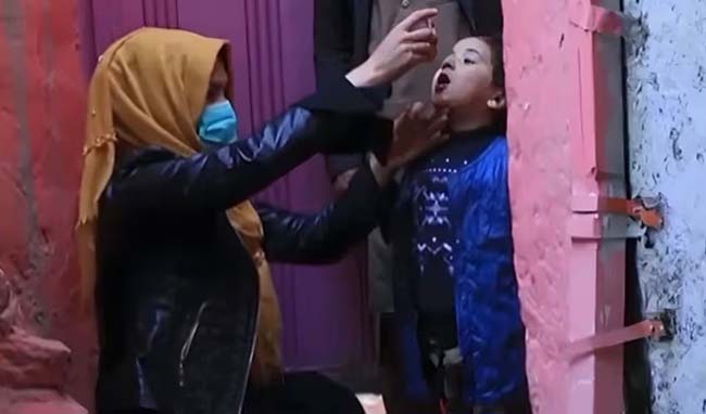 Pakistan sees sharp decline in polio virus detection