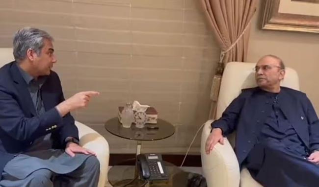 President Zardari, Mohsin Naqvi discuss security in KP, Balochistan