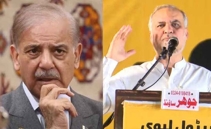 Shehbaz asks Hafiz Naeem to postpone JI long march for a few days