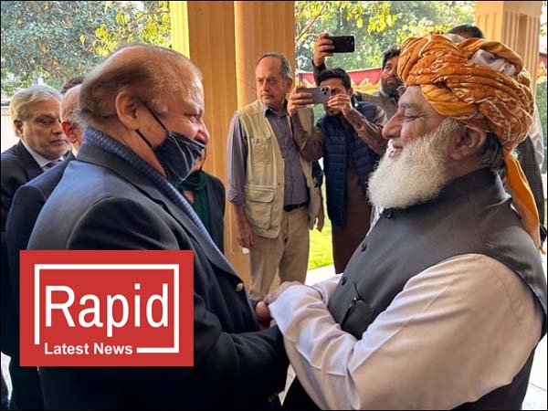 نواز شریف اور فضل الرحمان کی ملاقات، انتخابات میں سیٹ ایڈجسٹمنٹ پر گفتگو